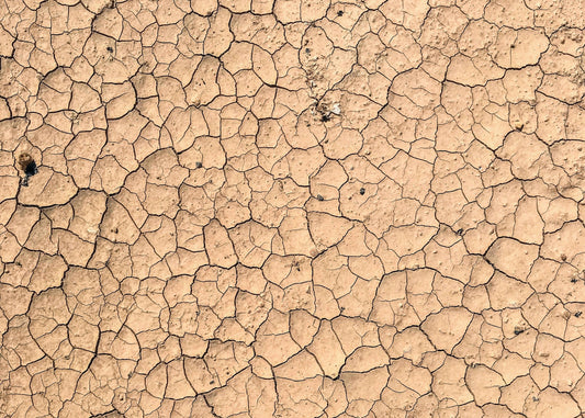 Why Choose Waterless Beauty?